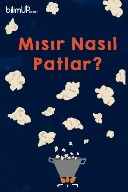 Mısır Nasıl Patlar?