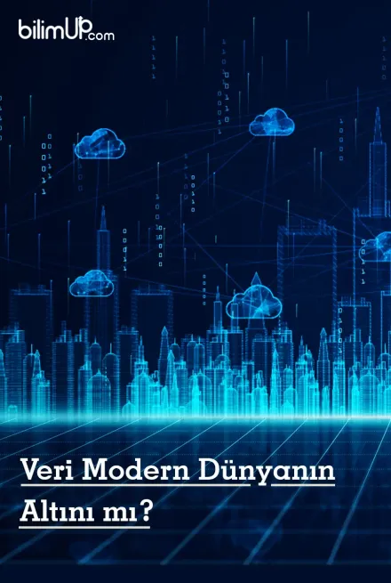 Veri Modern Dünyanın Altını mı?