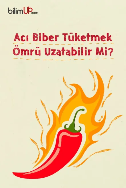 Acı Biber Tüketmek Ömrü Uzatabilir Mi?