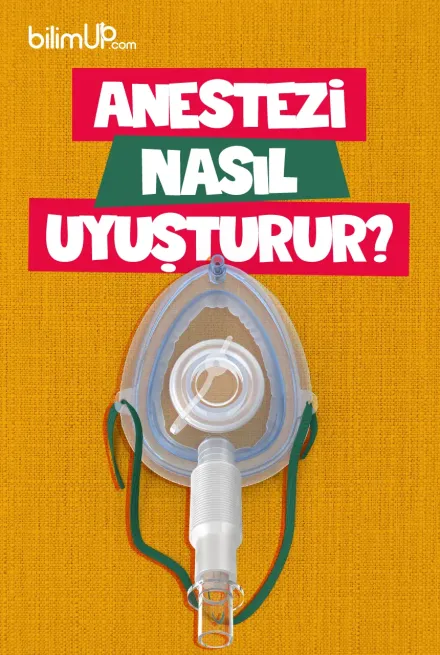 Anestezi Nasıl Uyuşturur?