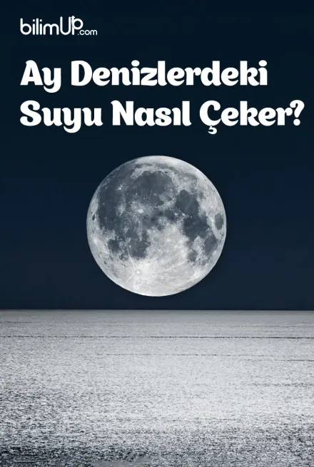 Ay Denizlerdeki Suyu Nasıl Çeker?