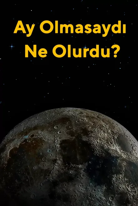 Ay Olmasaydı Ne Olurdu?