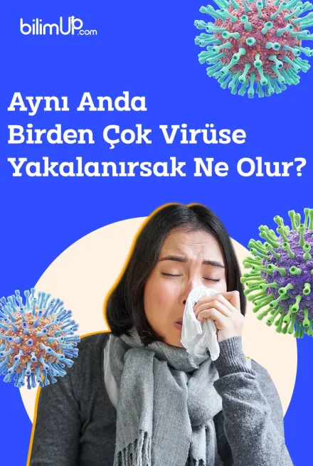Aynı Anda Birden Çok Virüse Yakalanırsak Ne Olur?