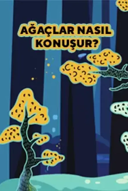 Ağaçlar Konuşur Mu?