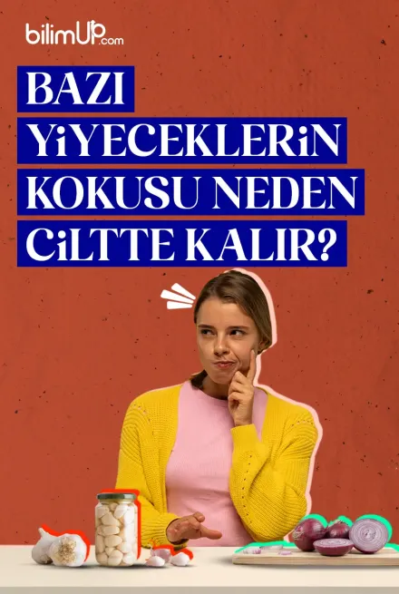Bazı Yiyeceklerin Kokusu Neden Ciltte Kalır?