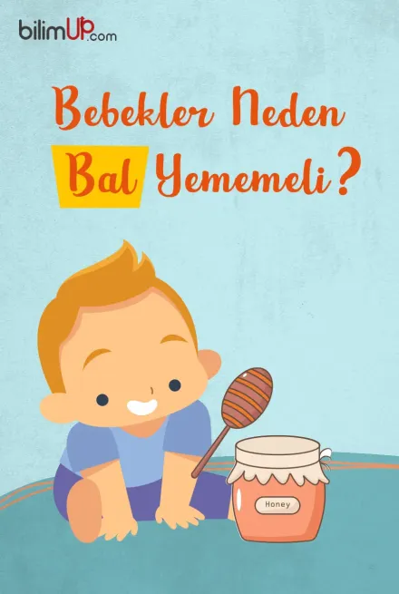 Bebeklere Bal Yedirmek Zararlı mı?