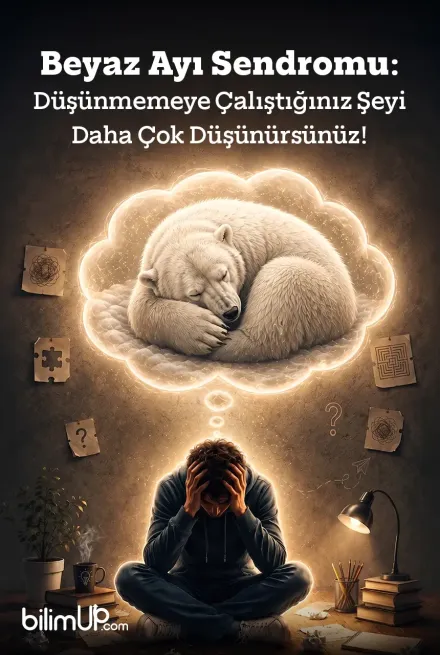 Beyaz Ayı Sendromu: Düşünmemeye Çalıştığınız Şeyi Daha Çok Düşünürsünüz!