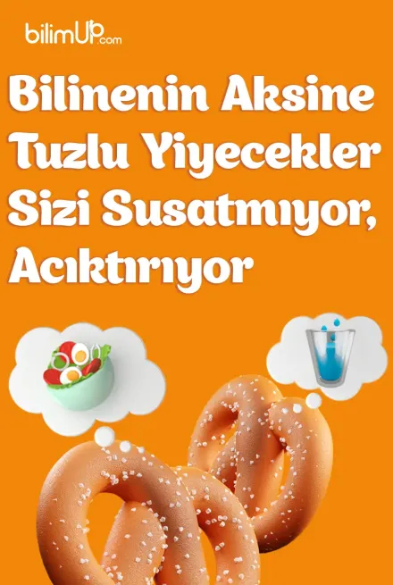 Bilinenin Aksine Tuzlu Yiyecekler  Susatmıyor, Acıktırıyor