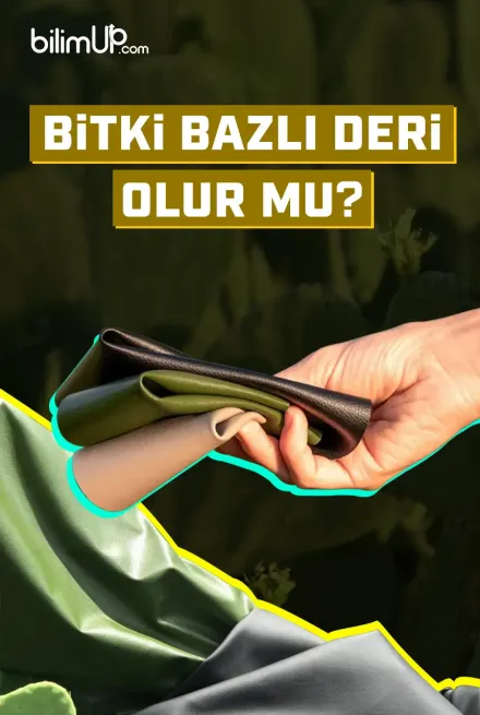 Bitki Bazlı Deri Olur Mu?