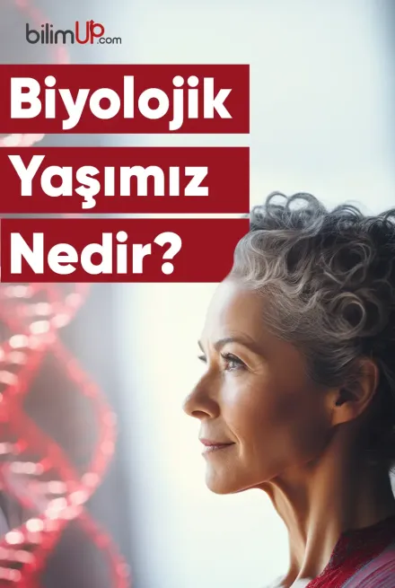 Biyolojik Yaşımız Nedir?