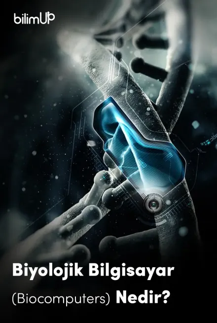 Biyolojik Bilgisayar (Biocomputers) Nedir?