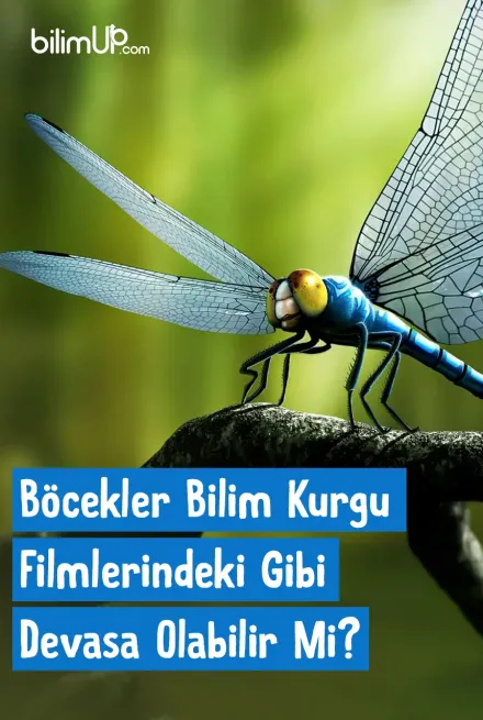 Böcekler Bilim Kurgu Filmlerindeki Gibi Devasa Olabilir Mi?