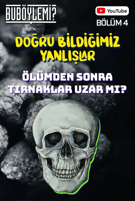 Bu Böyle Mi? Bölüm 4
