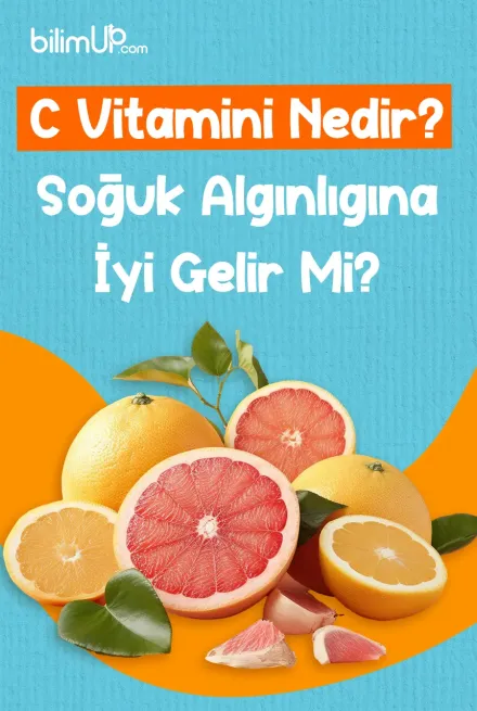 C Vitamini Nedir? Soğuk Algınlığına İyi Gelir Mi?