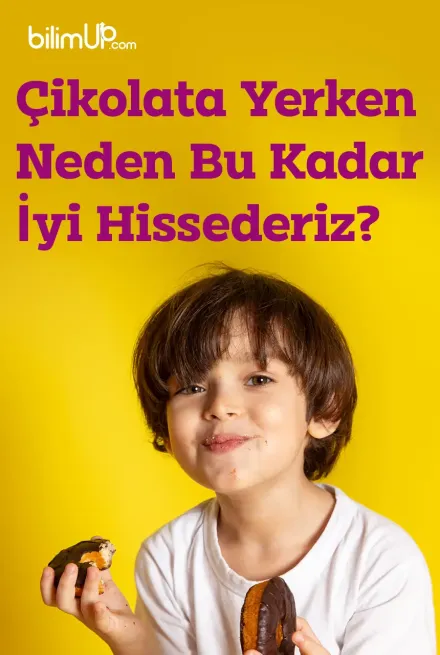 Çikolata Yerken Neden Bu Kadar İyi Hissederiz? Yağ Kaplama ve Kadife Etkisi