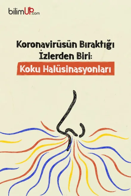 Koronavirüsün Bıraktığı İzlerden Biri: Koku Halüsinasyonları
