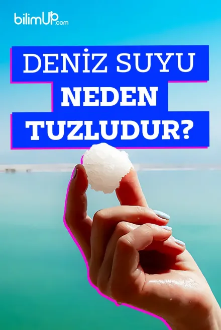 Deniz Suyu Neden Tuzludur?