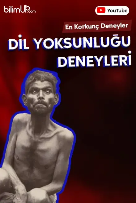 En Korkunç Deneyeler - Dil Yoksunluğu Deneyleri