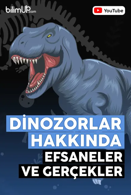 Dinozorlar Hakkında Efsaneler ve Gerçekler - Video