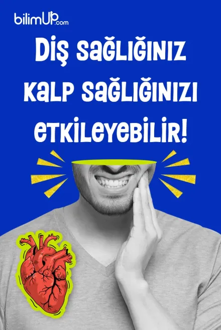 Diş sağlığınız kalp sağlığınızı etkileyebilir
