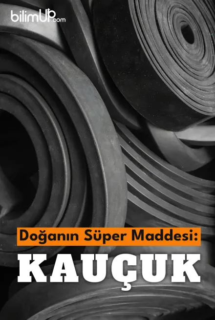 Doğanın Süper Maddesi: Kauçuk