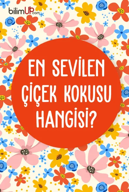 En sevilen çiçek kokusu hangisidir?