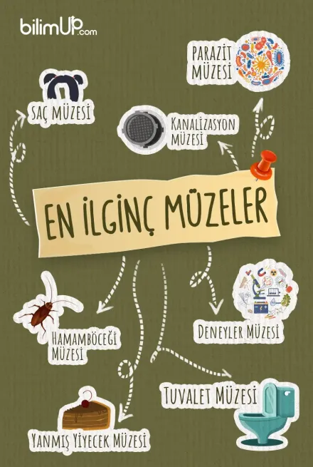 Dünyadaki En İlginç Müzeler