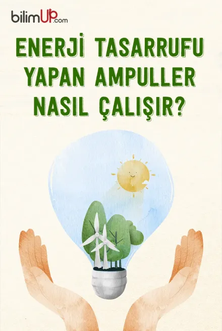Enerji Tasarrufu Yapan Ampuller Nasıl Çalışır?
