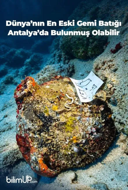 Antalya'da 4.700 Yıllık Gemi Batığı Keşfedildi