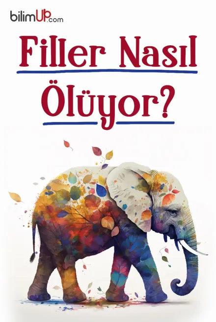 Filler Nasıl Ölüyor?