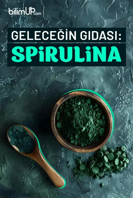 Geleceğin Gıdası: Spirulina