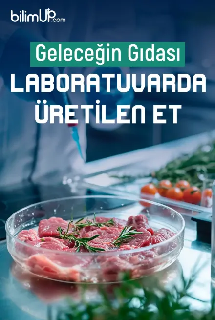 Geleceğin Gıdası- Laboratuvarda Üretilen Et