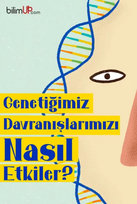 Genetiğimiz Davranışlarımızı Nasıl Etkiler?