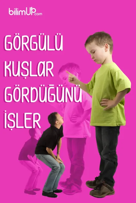 Görgülü Kuşlar Neden Gördüğünü İşler?