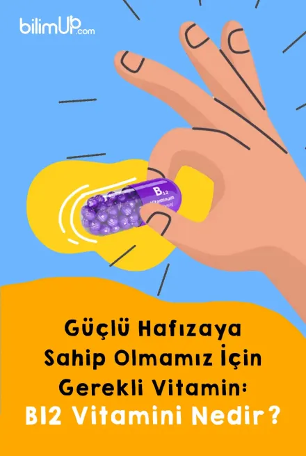 Güçlü Hafızaya Sahip Olmamız İçin Gerekli Vitamin: B12 Vitamini Nedir?