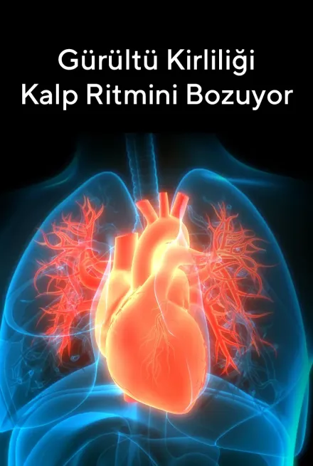 Gürültü Kirliliği Kalp Ritmini Bozuyor