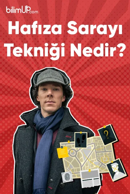 Hafıza Sarayı Tekniği Nedir?