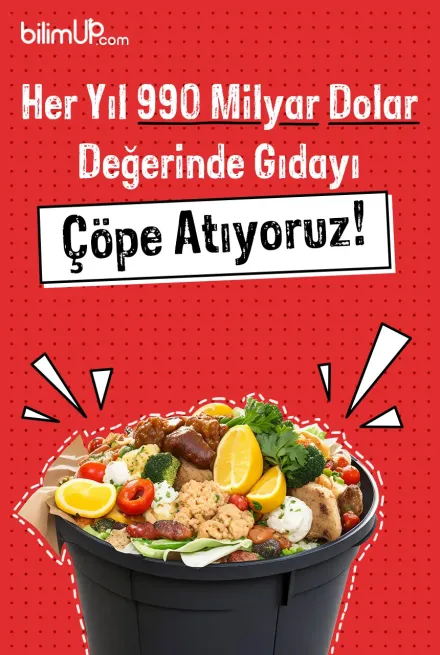 Her Yıl 990 Milyar Dolar Değerinde Gıdayı Çöpe Atıyoruz!