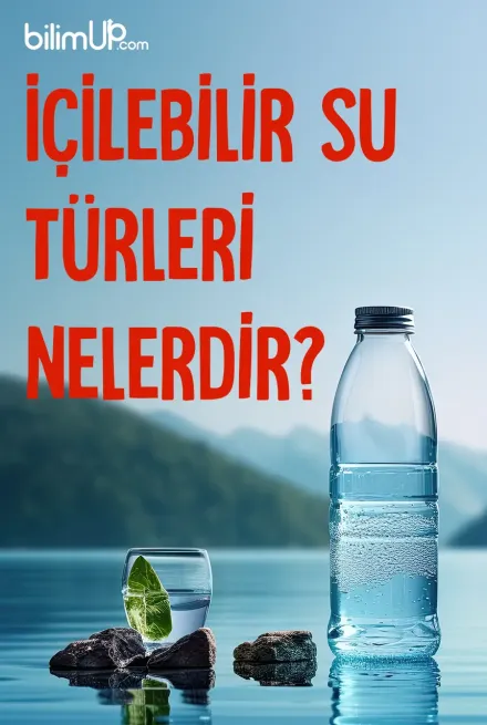 İçilebilir Su Türleri Nelerdir?