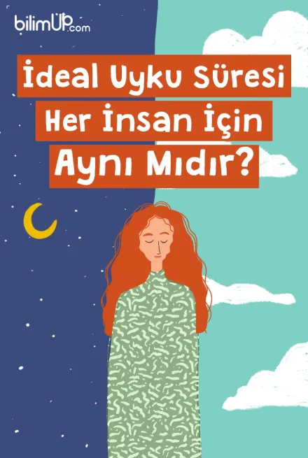 İdeal Uyku Süresi Her İnsan İçin Aynı Mıdır?