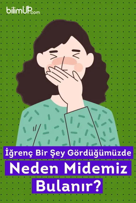 İğrenç Bir Şey Gördüğümüzde Midemiz Neden Bulanır?