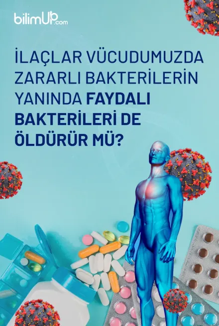 İlaçlar Vücudumuzda Zararlı Bakterilerin Yanında Faydalı Bakterileri de Öldürür Mü?