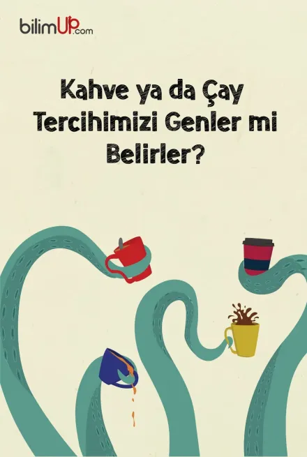 Kahve ya da Çay Tercihimizi Genler mi Belirler?