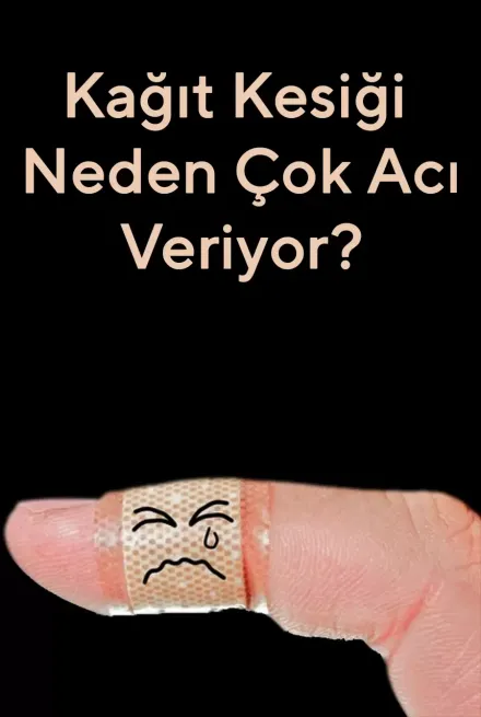 Kağıt Kesiği Neden Çok Acı Veriyor?