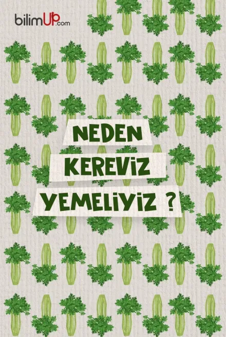 Neden Kereviz Yemeliyiz?