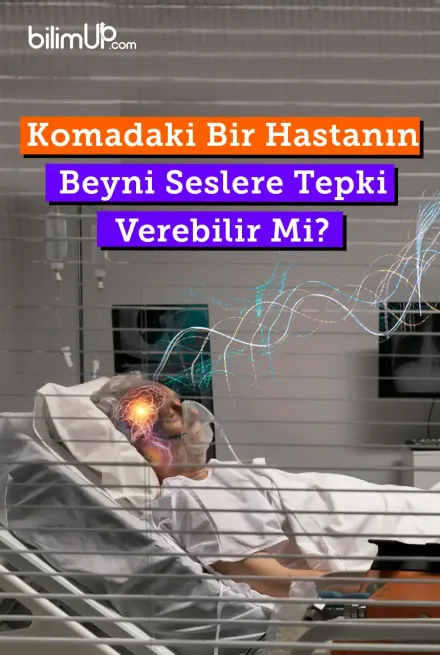 Komadaki Bir Hastanın Beyni Seslere Tepki Verebilir mi?