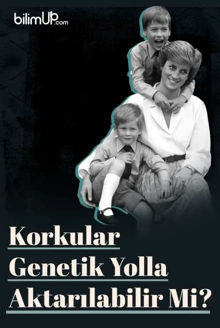 Korkular Genetik Yolla Aktarılabilir Mi?