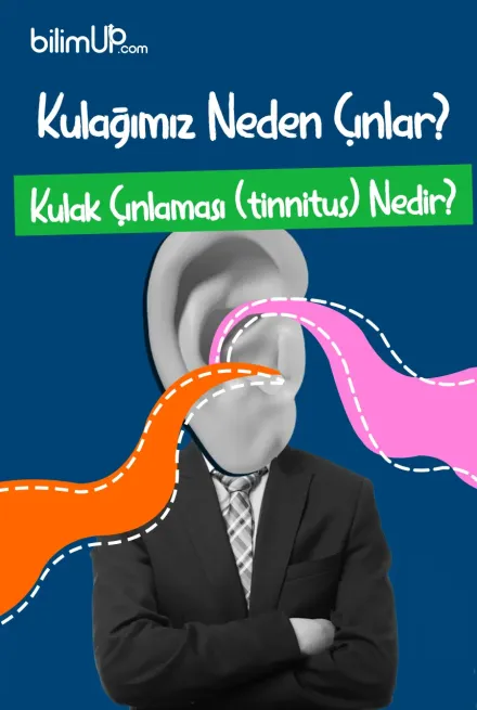 Kulağımız Neden Çınlar? Kulak Çınlaması (tinnitus) Nedir?