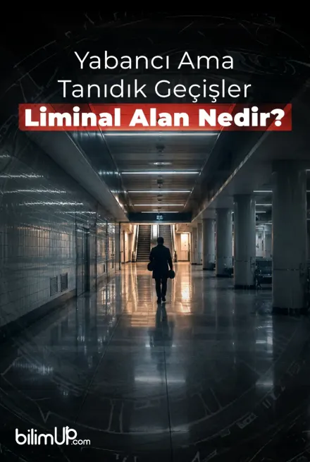 Yabancı Ama Tanıdık Geçişler: Liminal Alan Nedir?