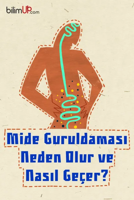 Mide Guruldaması Neden Olur ve Nasıl Geçer?